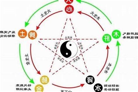 1988 年五行属什么